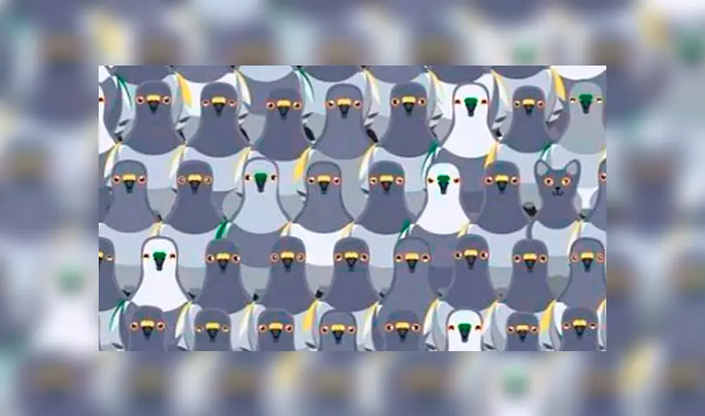 Desliza la izquierda para ver este nuevo reto visual que ha sorprendido a todos en Facebook. Desliza la izquierda para ver este nuevo reto visual que ha sorprendido a todos en Facebook.