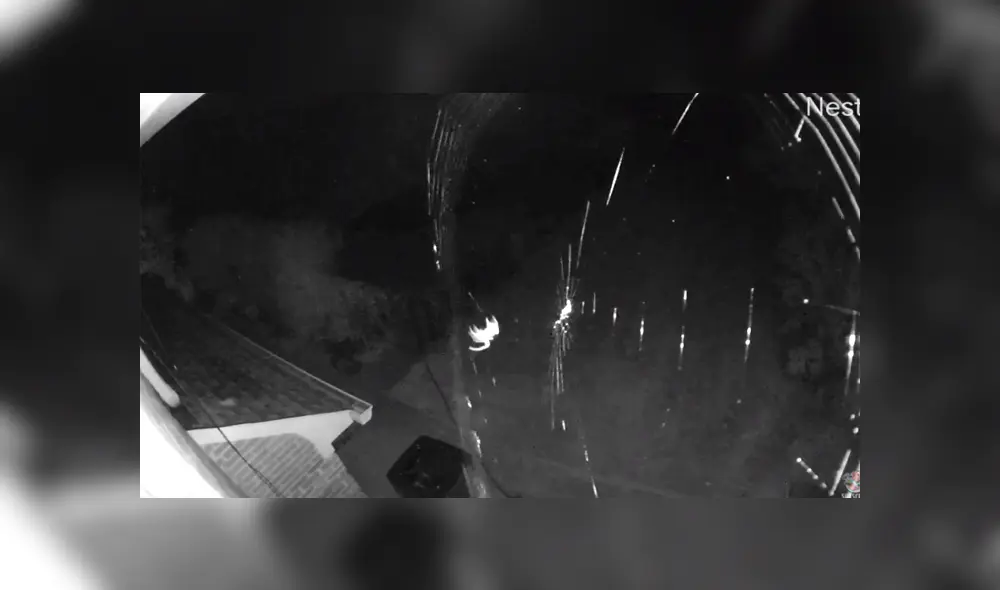 La grabación revela la asombrosa manera de cómo una araña hace su tela. Foto: Facebook