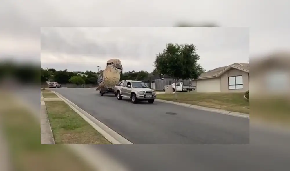 A través de Facebook se hizo viral la gigantesca escultura que hizo un hombre durante la cuarentena.