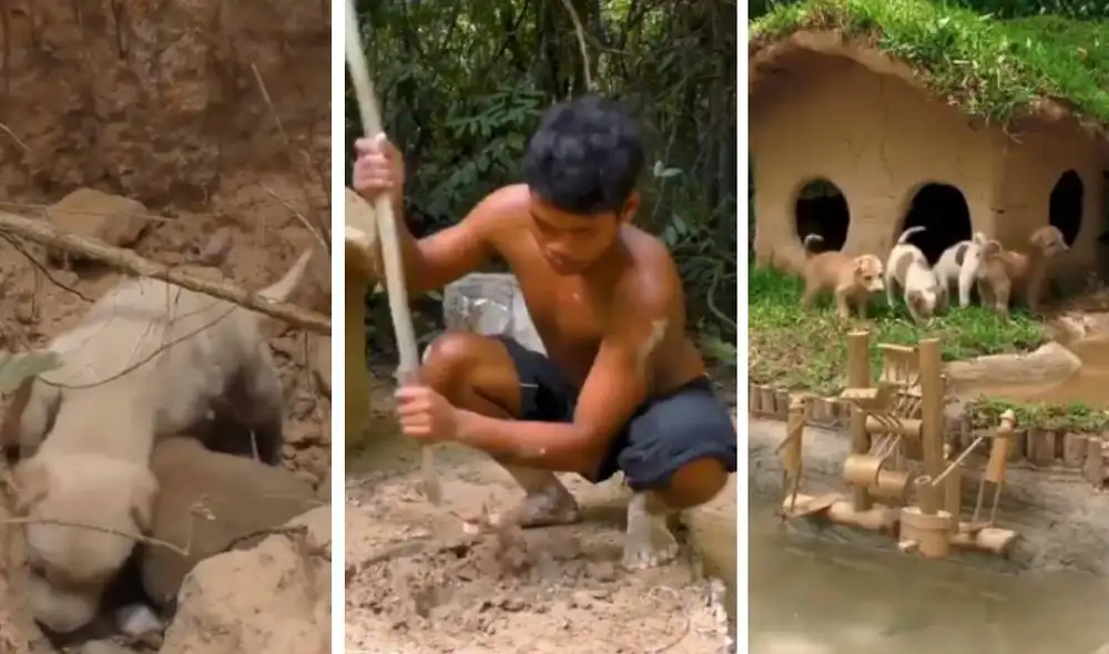 Desliza para ver la mansión final de los cachorros. Foto: Captura/Facebook