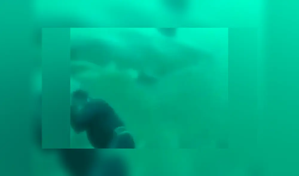 Es viral en YouTube. Hombre no se percató del escualo que apareció detrás de él y abrió sus enormes fauces para devorar su cabeza Es viral en YouTube. Hombre no se percató del escualo que apareció detrás de él y abrió sus enormes fauces para devorar su cabeza