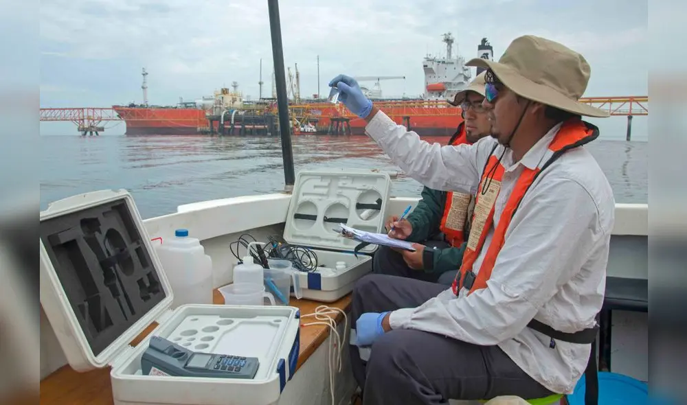 Protegiendo la vida en Paracas [VIDEO]