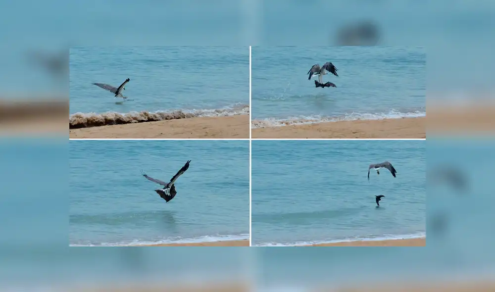 Desliza para ver los detalles del video viral de Facebook. Foto: Captura. Desliza para ver los detalles del video viral de Facebook. Foto: Captura.