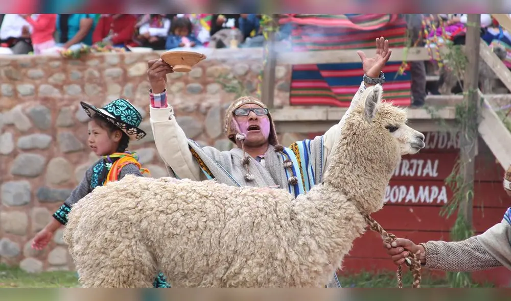 Arequipa: Huancarama organiza cierre de carnavales con danzas y caminata con llamas [FOTOS]