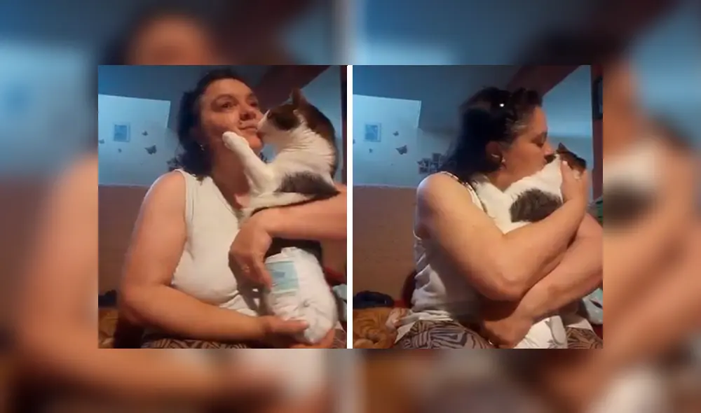 Facebook: señora encuentra a gato callejero, lo cuida y este se lo agradece con tierno beso [VIDEO] 
