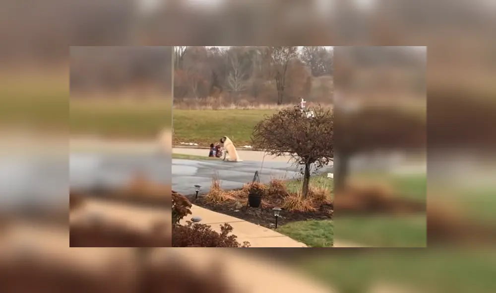 Familiar de las pequeñas captó la peculiar escena desde su casa y compartió las imágenes en YouTube y otras redes sociales Familiar de las pequeñas captó la peculiar escena desde su casa y compartió las imágenes en YouTube y otras redes sociales