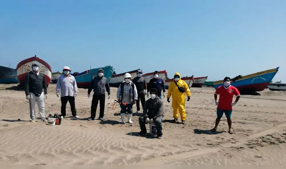 Desinfectan 500 chalanas en San José Desinfectan 500 chalanas en San José