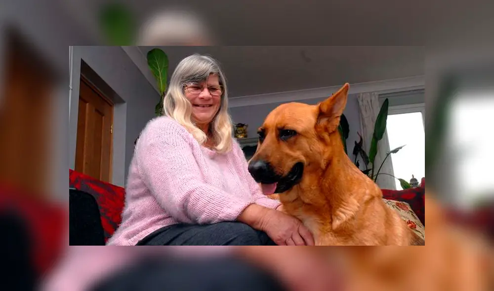 “Gypsy”, es el perro que detectó sustancias dañinas en el aliento de Pam Mansfield mientras descansaba y la despertaba antes de caer en un coma mortal. “Gypsy”, es el perro que detectó sustancias dañinas en el aliento de Pam Mansfield mientras descansaba y la despertaba antes de caer en un coma mortal.