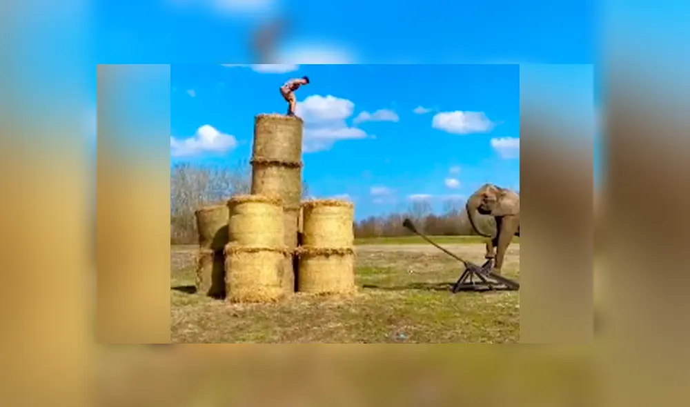 Desliza para ver todas las imágenes de TikTok. Foto: captura