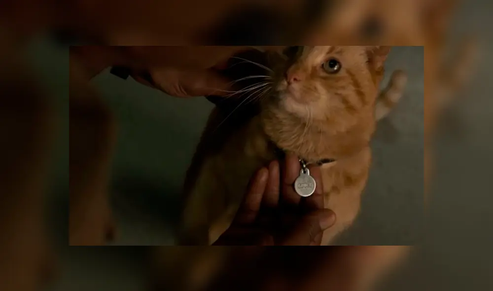 Capitana Marvel: nuevo personaje sorprende a los fanáticos de la cinta [FOTO]