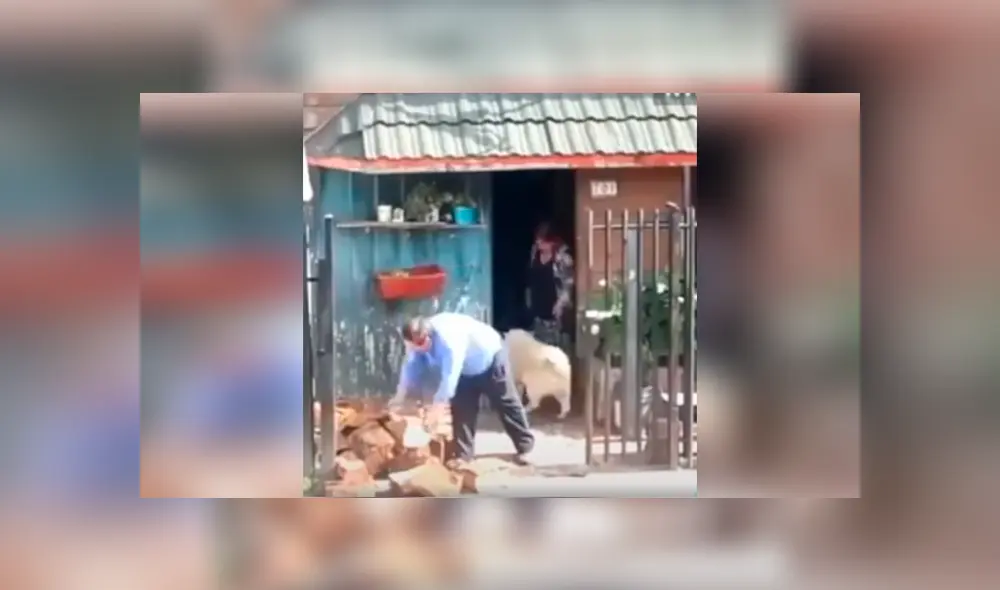 Desliza las imágenes hacia la izquierda para apreciar la emotiva acción de un perro para ayudar a su dueño. Fotocaptura: Facebook. Desliza las imágenes hacia la izquierda para apreciar la emotiva acción de un perro para ayudar a su dueño. Fotocaptura: Facebook.