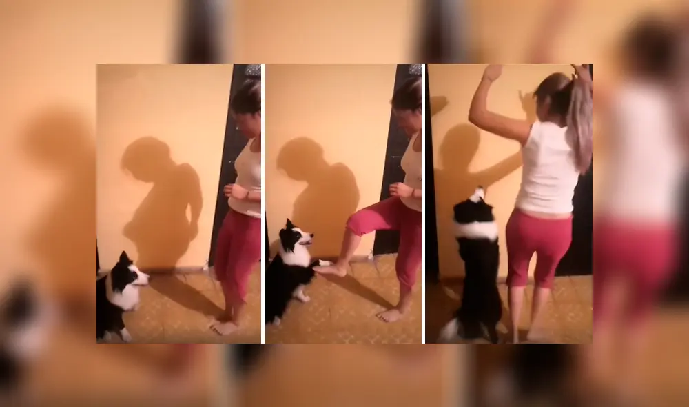 Desliza las imágenes para apreciar los divertidos pasos que realizó un perro con su dueña para cumplir un reto.