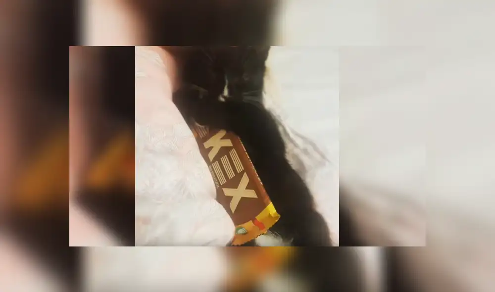 Video es viral en YouTube. La dueña del gato estaba buscando la barra de chocolate que había dejado en su cama, cuando se percató de la curiosa conducta del felino
