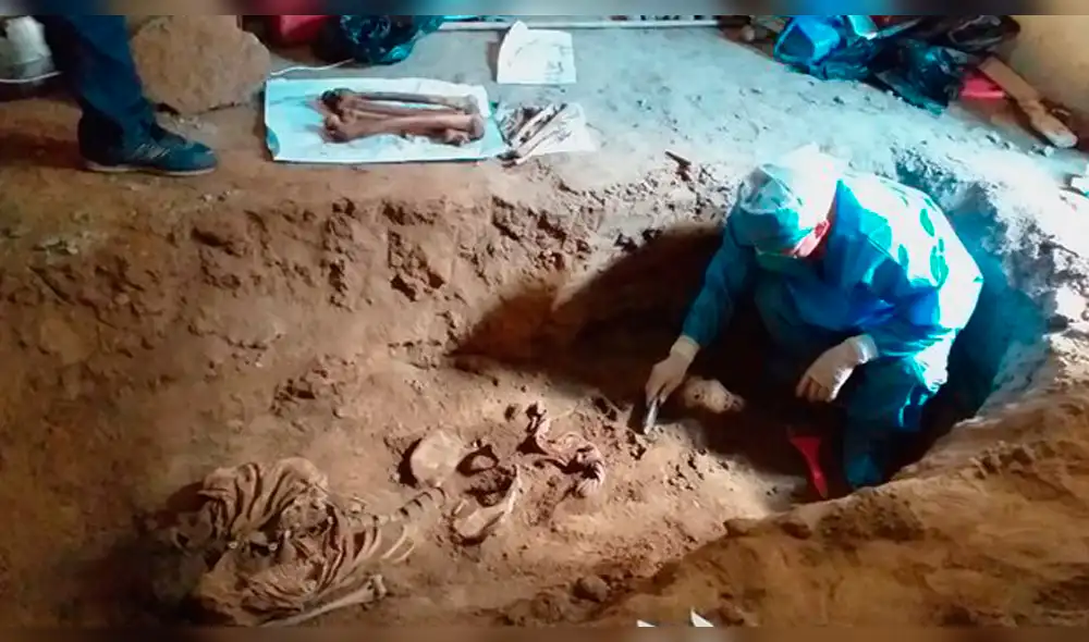 Restos fueron encontrados por obreros de construcción civil. Restos fueron encontrados por obreros de construcción civil.