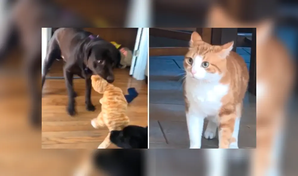 Desliza para ver todas las imágenes de Facebook. Foto: captura