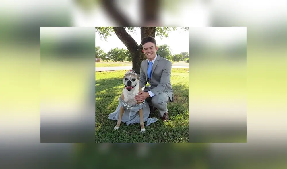 Desliza para ver los detalles de esta historia que se viralizó en Facebook. Foto: Captura. Desliza para ver los detalles de esta historia que se viralizó en Facebook. Foto: Captura.