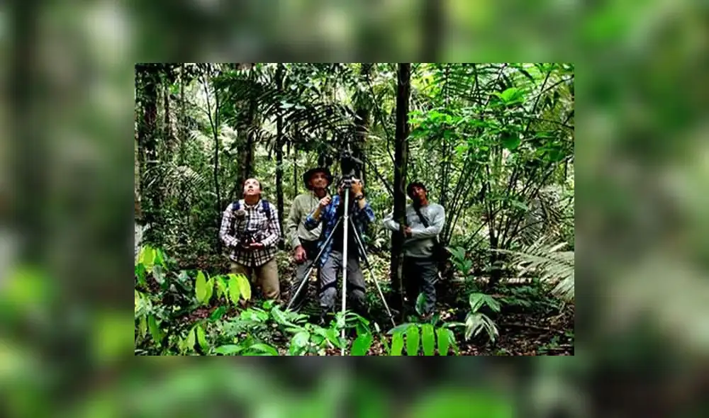 Cusco: realizarán limpieza en red de Caminos Inca