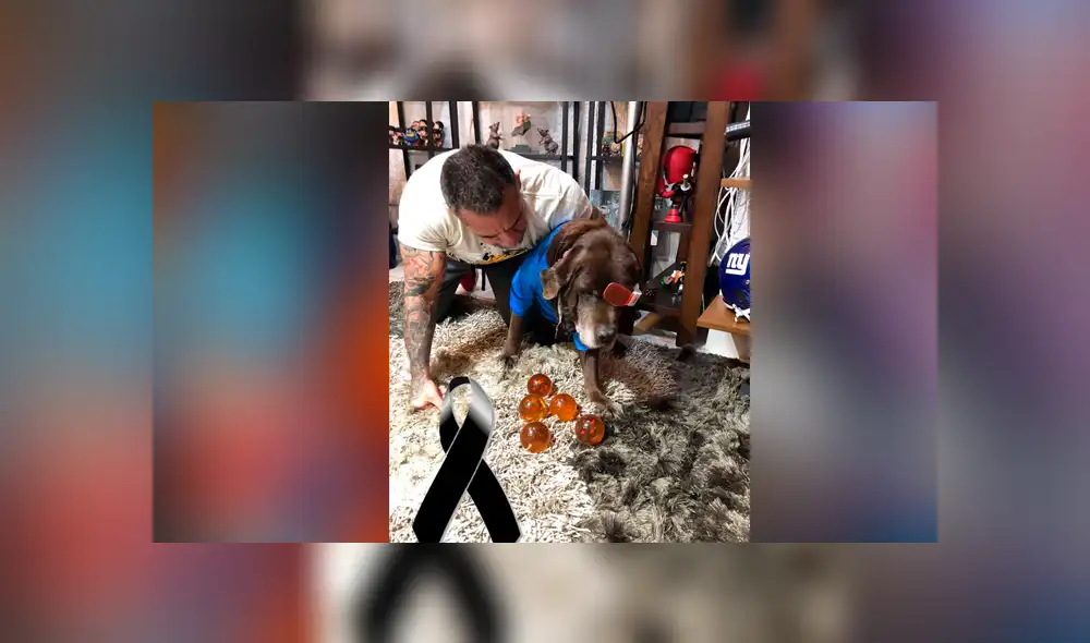 Facebook viral: fan de Dragon Ball Super se despide de su mascota con emotivo mensaje