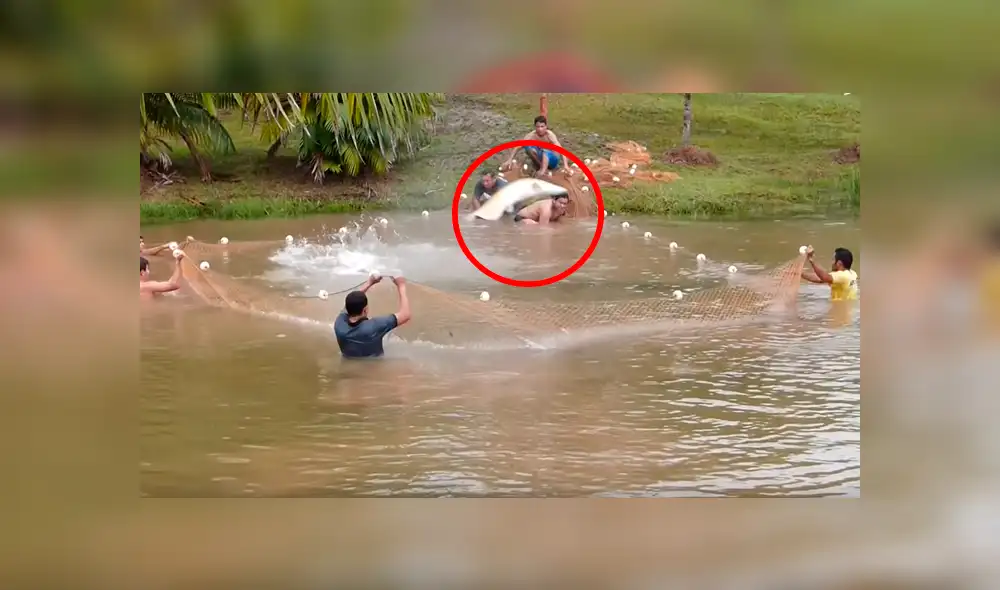 YouTube viral: Entran a pescar y quedan en shock al ver extrañas criaturas en su red [VIDEO]