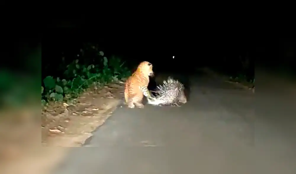 Desliza hacia la izquierda para ver las imágenes del viral de Facebook. Desliza hacia la izquierda para ver las imágenes del viral de Facebook.