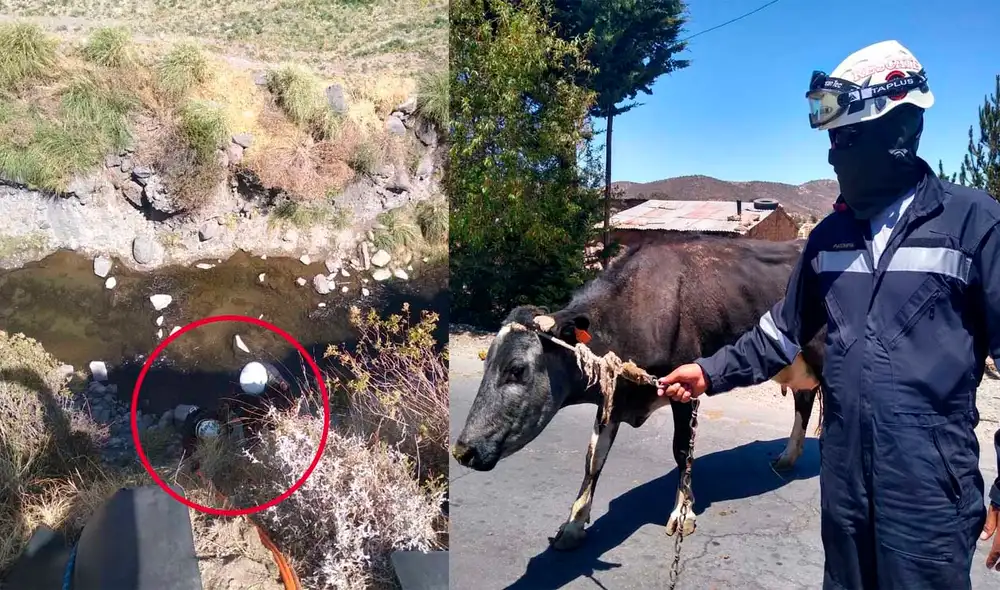 Efectivos policiales utilizaron arneses y accesorios para el rescate. Fotos: Policía. Efectivos policiales utilizaron arneses y accesorios para el rescate. Fotos: Policía.