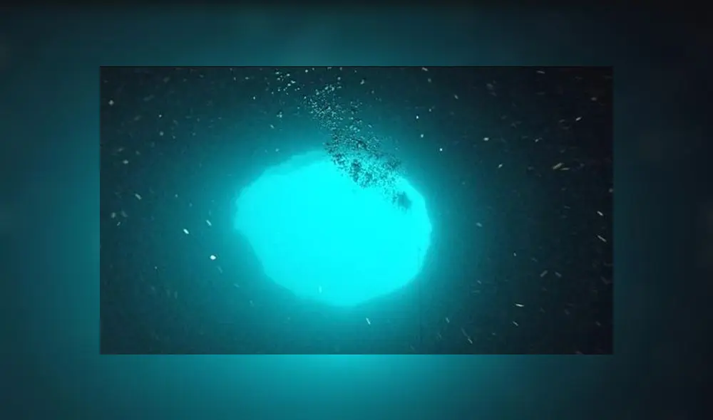 Vista desde el interior del agujero azul de Amberjack, en la Costa de Florida - Laboratorio Marino Mote