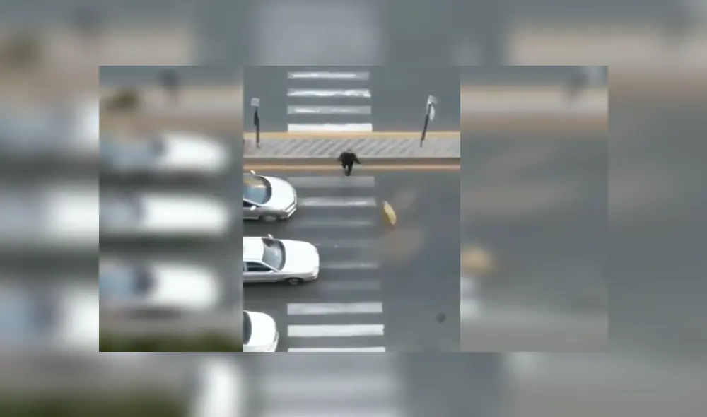 En YouTube, un señor se percató de la presencia de un perro callejero y lo ayudó para que cruce la pista. En YouTube, un señor se percató de la presencia de un perro callejero y lo ayudó para que cruce la pista.