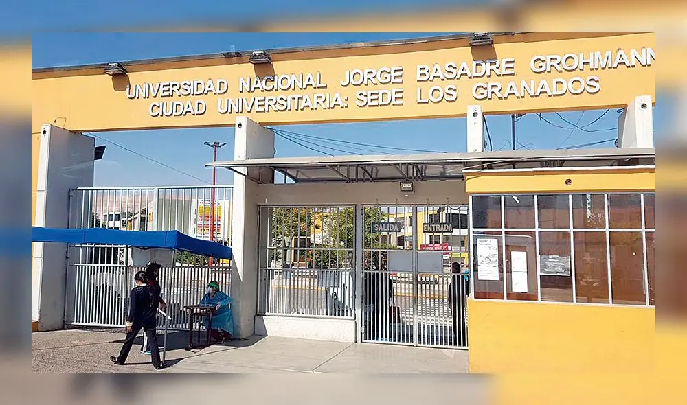 Universidad Jorge Basadre.