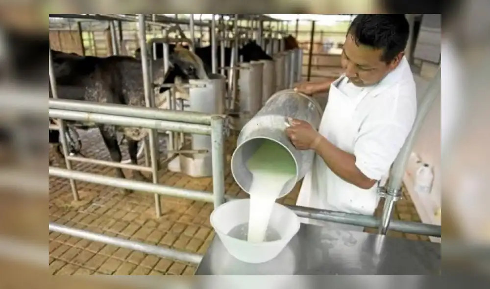 Producción de leche.