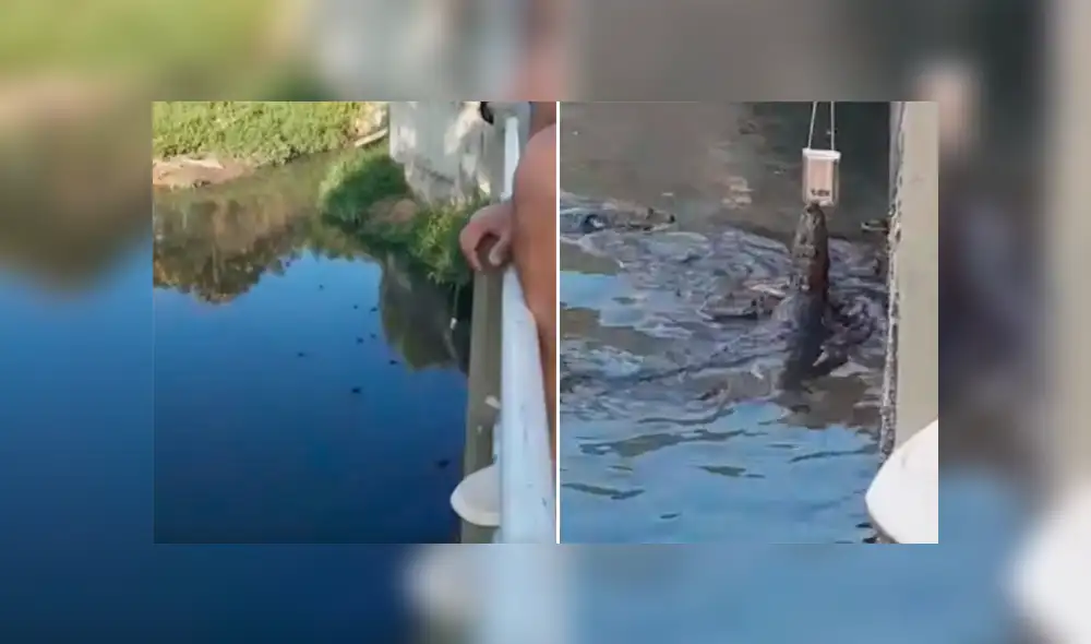 Desliza para ver los momentos más sorprendentes del video viral de YouTube.