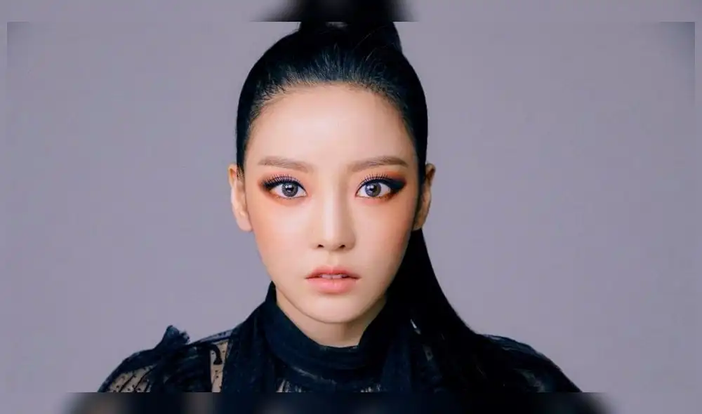 Comentarios de un profesor sobre muerte de Goo Hara han generado indignación en Corea del Sur.