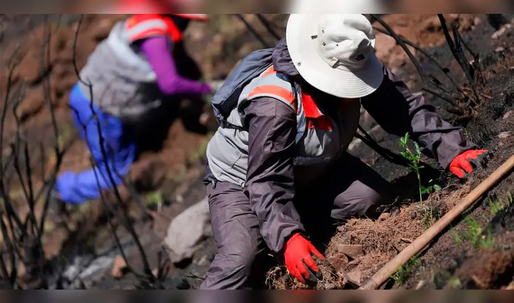 Zonas afectadas por incendios forestales en Cusco. Foto: Municipalidad de Cusco