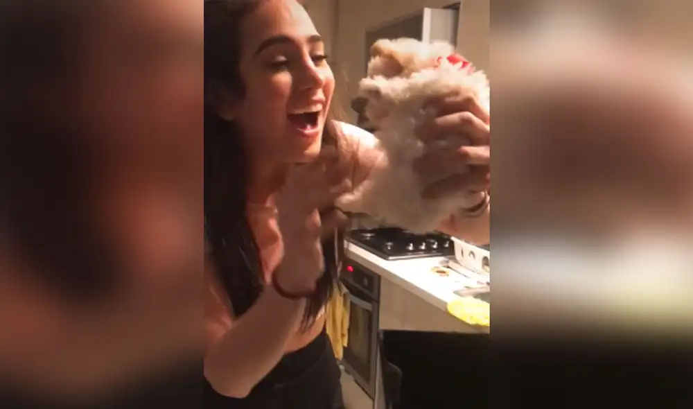 Desliza para ver más imágenes de esta tierna escena en la que una joven recibe a su primera mascota. Foto: captura de TikTok