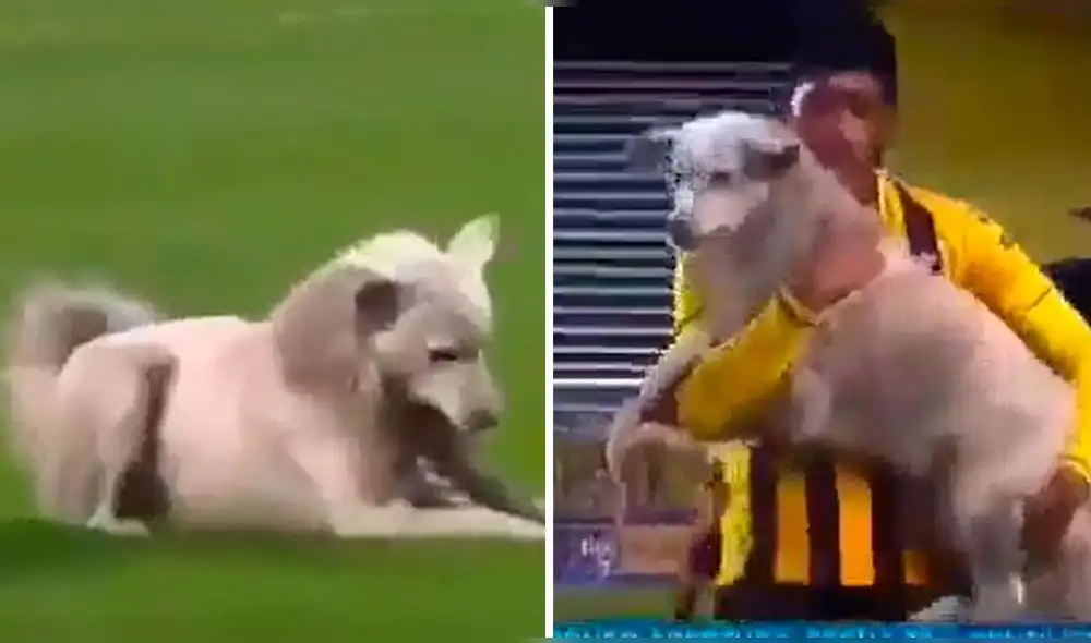 The Strongest venció por 3-0 a Nacional de Potosí por la Primera División de Bolivia. Foto: YouTube/Foto: @RicardoBajo