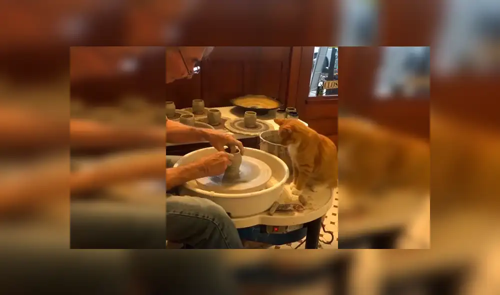 En Facebook, un travieso gato miraba atento las labores de alfarería de su dueño y trata de ‘ayudarlo’.