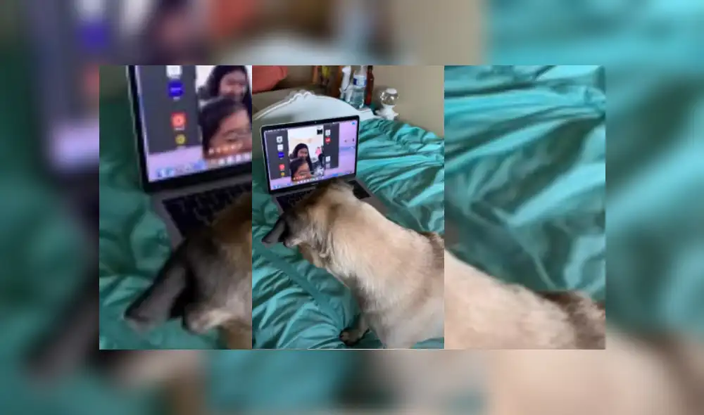 Desliza hacia la izquierda para ver más del video viral Desliza hacia la izquierda para ver más del video viral