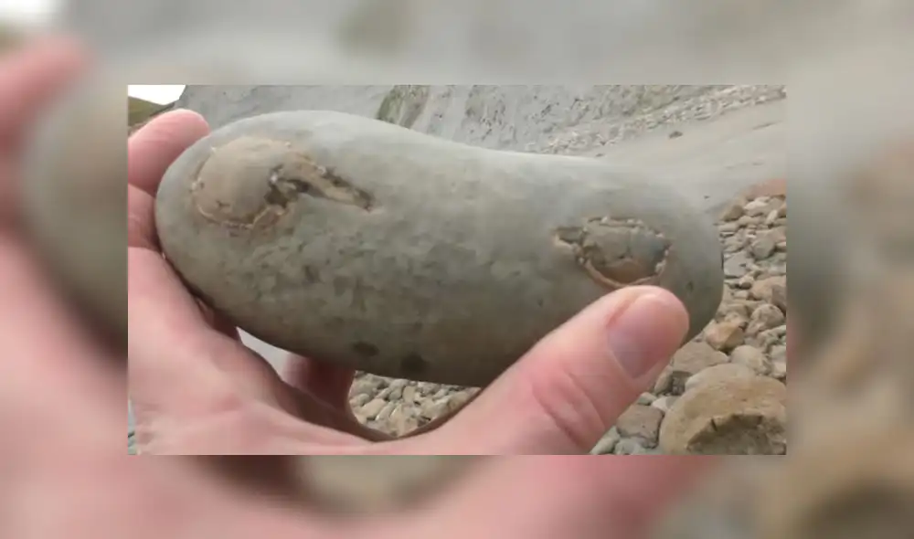 Desliza las imágenes para ver el increíble hallazgo que hizo un paleontólogo en el interior de una extraña roca. Foto: Newsflare Desliza las imágenes para ver el increíble hallazgo que hizo un paleontólogo en el interior de una extraña roca. Foto: Newsflare