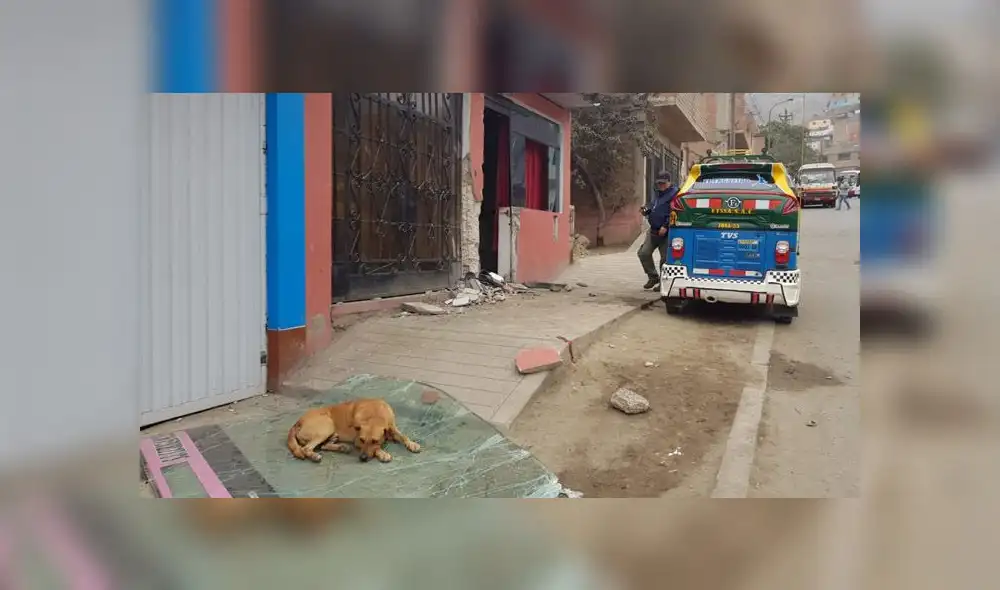 SJL choque vivienda accidente de tránsito SJL choque vivienda accidente de tránsito