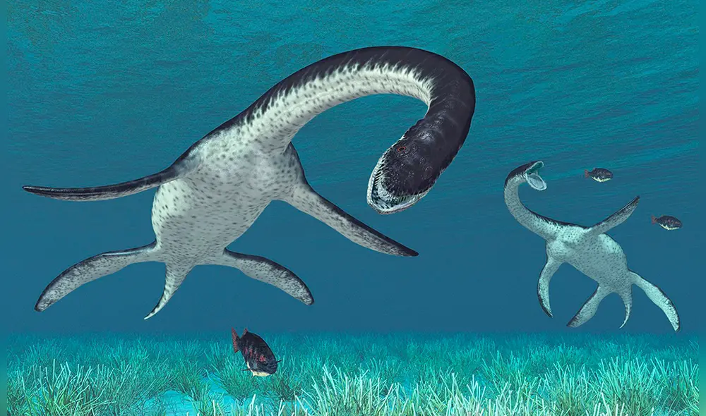 El anuncio fue hecho por biólogos de la San Marcos y de la Universidad de La Plata. (Foto: National Geographic)