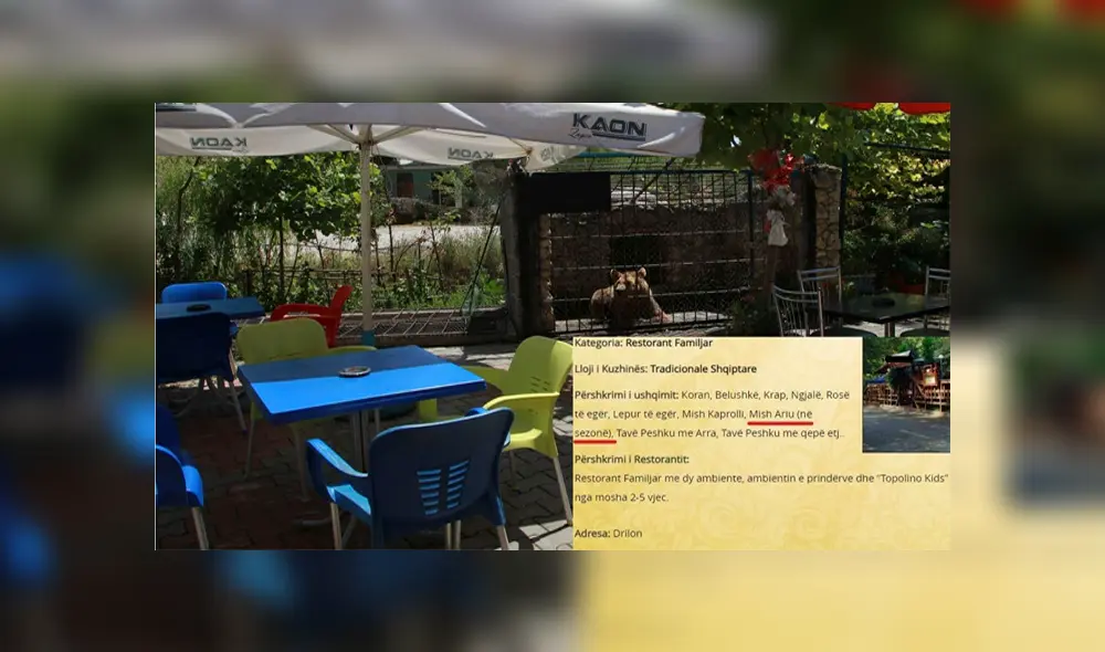 El restaurante no solo compra carne de osos, sino también monos, lobos y aves rapaces en comercios ilegales. (Foto: Mitre) El restaurante no solo compra carne de osos, sino también monos, lobos y aves rapaces en comercios ilegales. (Foto: Mitre)