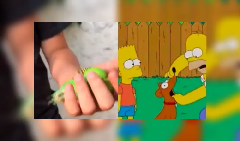 Facebook: ¿Los Simpsons predijeron la muerte del "Chimuelo? Imágenes asombran al mundo