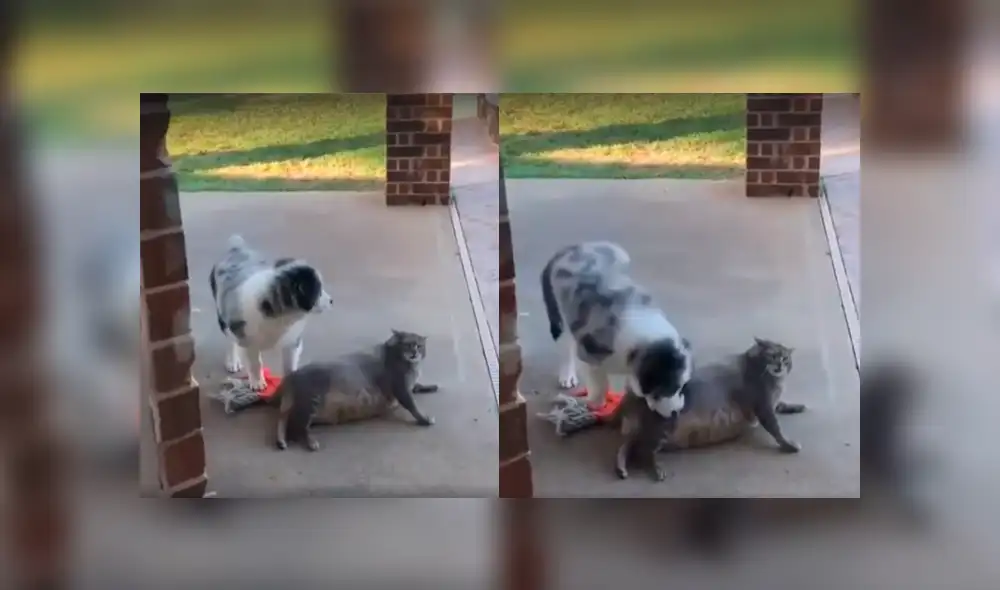 Desliza a la izquierda para ver la reacción que hizo reír a los usuarios de Facebook. Foto: Captura.