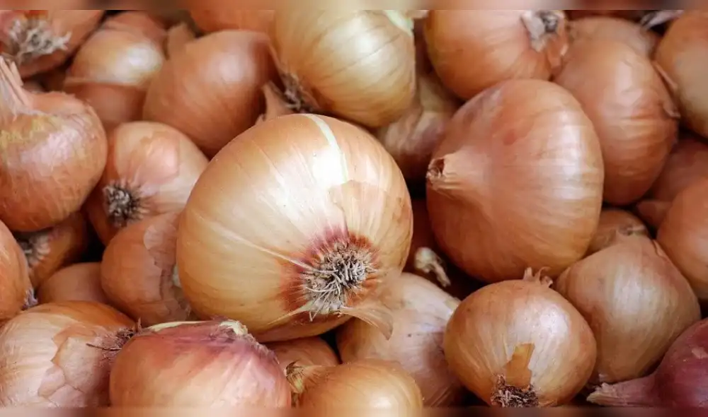 Las imágenes de miles de cebollas echadas a perder indignaron a los pobladores del municipio rural de Meoqui. (Foto: Difusión) Las imágenes de miles de cebollas echadas a perder indignaron a los pobladores del municipio rural de Meoqui. (Foto: Difusión)