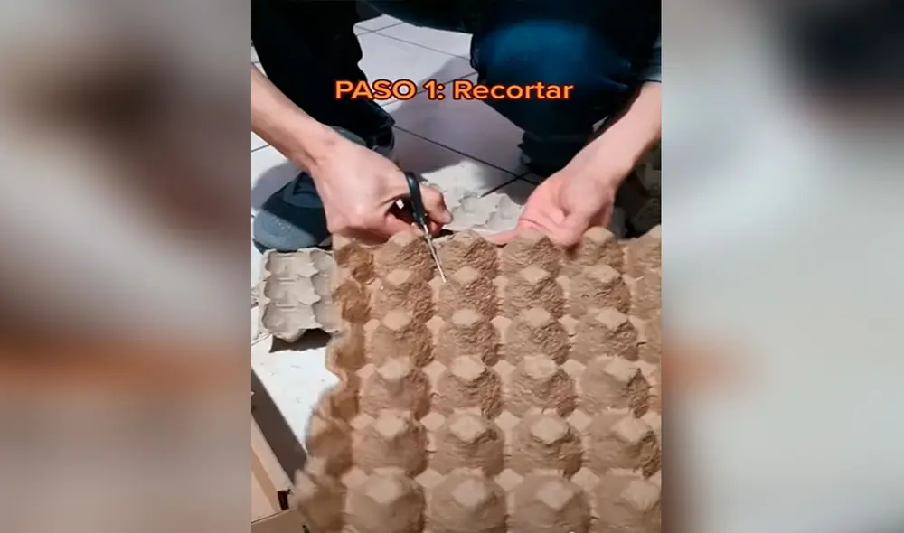 Desliza las imágenes para conocer la ingeniosa idea que tuvo una joven al fabricar un rascador para su gato. Foto: captura de TikTok