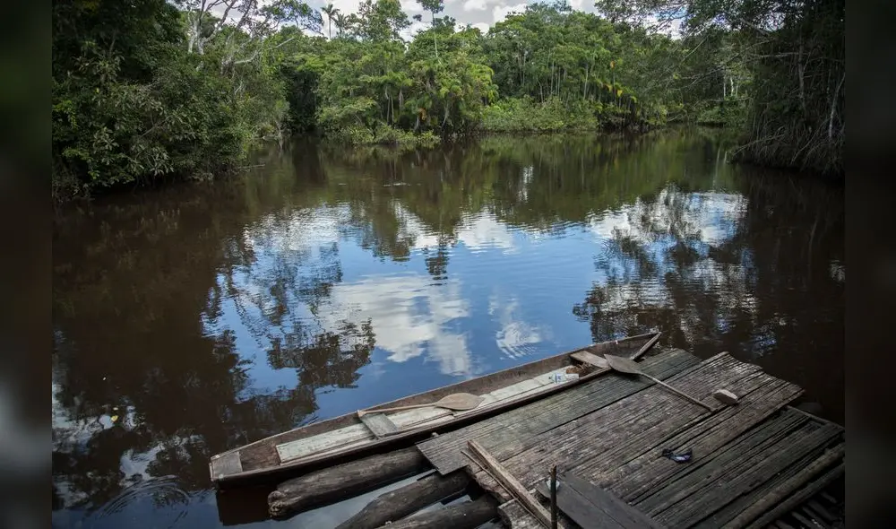 Defensores indígenas denunciarán ante la CIDH violación de derechos por los gobiernos de la cuenca amazónica Defensores indígenas denunciarán ante la CIDH violación de derechos por los gobiernos de la cuenca amazónica