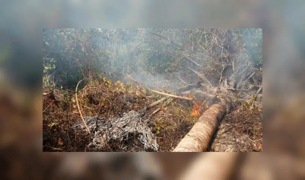Tragedia en Amazonas: los últimos incendios forestales en Sudamérica [FOTOS Y VIDEOS]