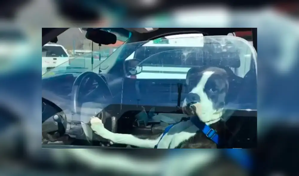 Youtube viral: busca a chofer escandaloso para enfrentarlo y queda desconcertado con su identidad [VIDEO]