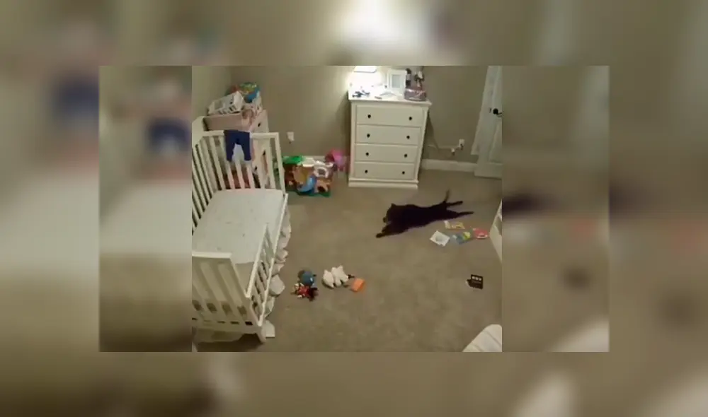 Desliza las imágenes para apreciar la travesura que realizó un perro durante la ausencia de su cuidadora. Desliza las imágenes para apreciar la travesura que realizó un perro durante la ausencia de su cuidadora.