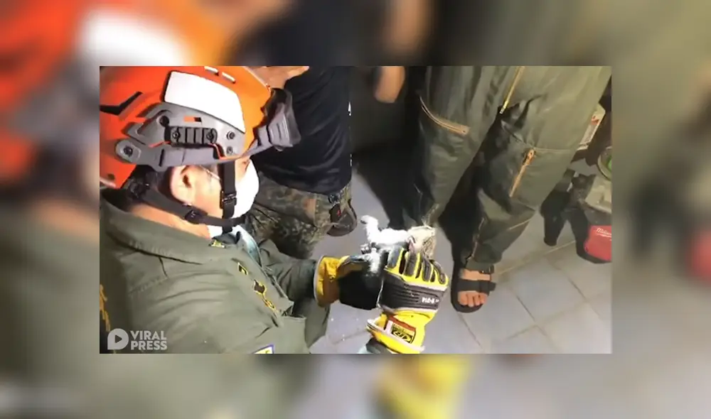 A través de YouTube se ha vuelto viral el momento en que uno rescatistas sacan a un gato de una tubería. A través de YouTube se ha vuelto viral el momento en que uno rescatistas sacan a un gato de una tubería.