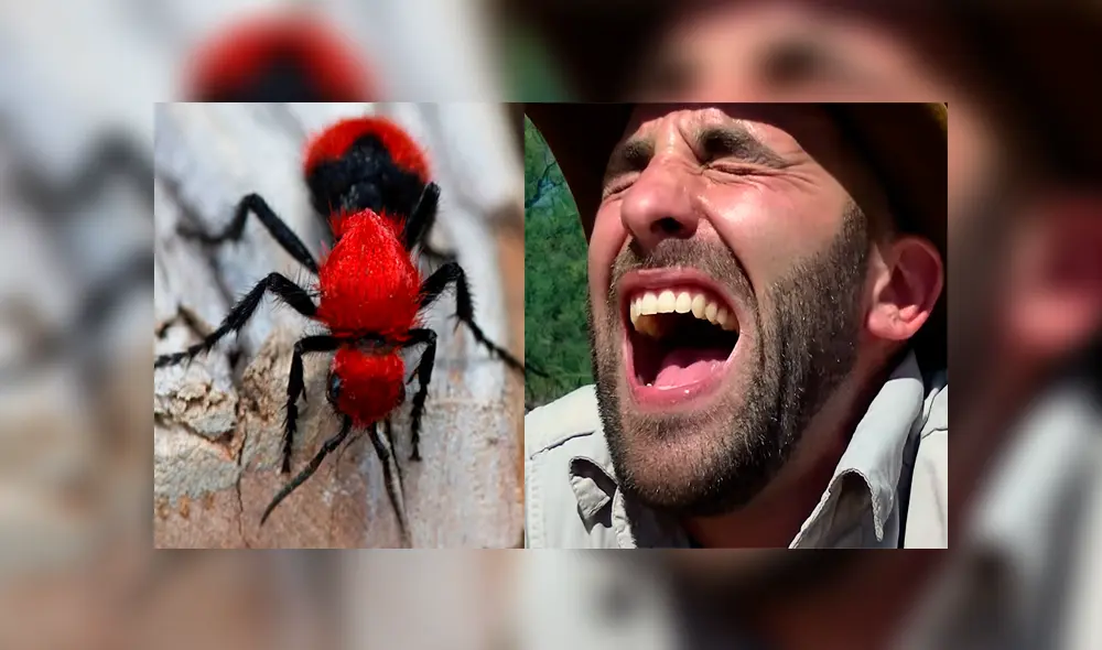 Desliza para ver los momentos más impactantes de este arriesgado experimento que se hizo viral en YouTube. Desliza para ver los momentos más impactantes de este arriesgado experimento que se hizo viral en YouTube.